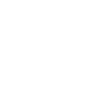 Icon: State-Specific Requirements